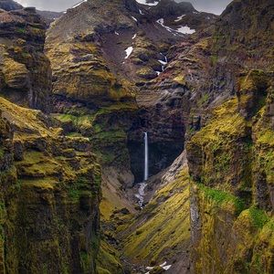 Meet your Posher, Alec